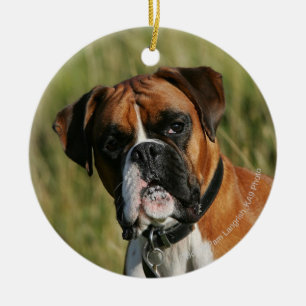 Boxer Dog Staring at Camera Ceramic Ornament