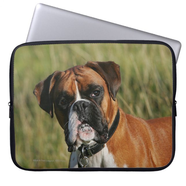 Boxer Dog Staring at Camera Laptop Sleeve (Front)