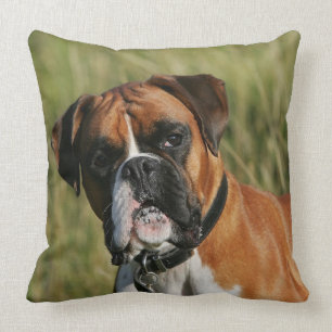 Boxer Dog Staring at Camera Throw Pillow
