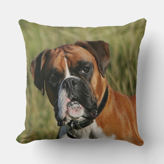 Boxer Dog Staring at Camera Throw Pillow (Front)