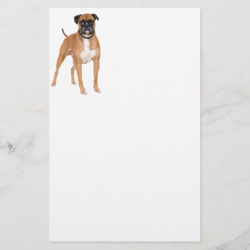 Boxer Dog Stationery