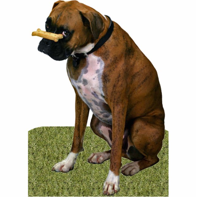 Boxer Dog Statuette (Front)