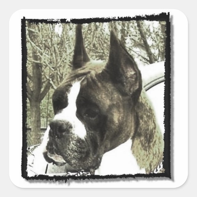 Boxer dog stickers (Front)