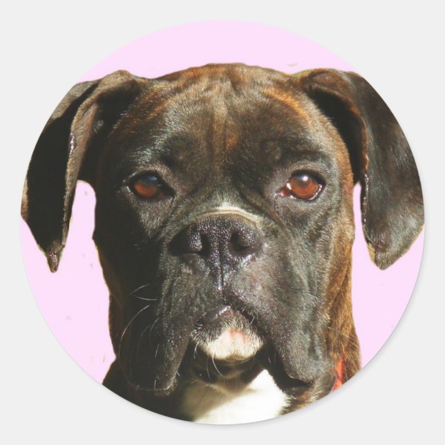 Boxer dog stickers (Front)