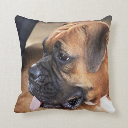 boxer throw pillow