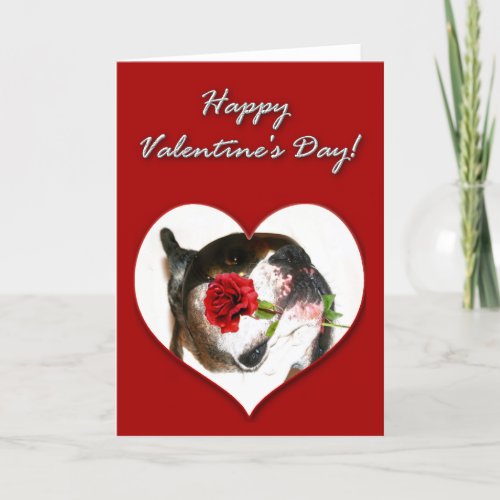 Boxer dog Valentines Day Card