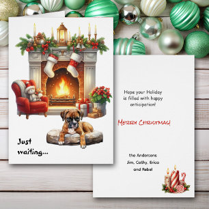 Boxer Dog Waiting for Christmas Cards