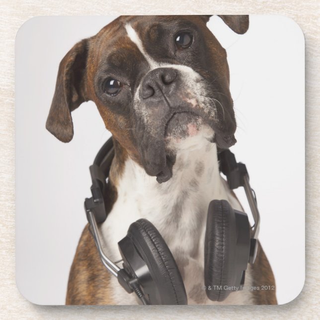 boxer dog with headphones drink coaster (Front)