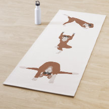 Boxer dog yoga pose