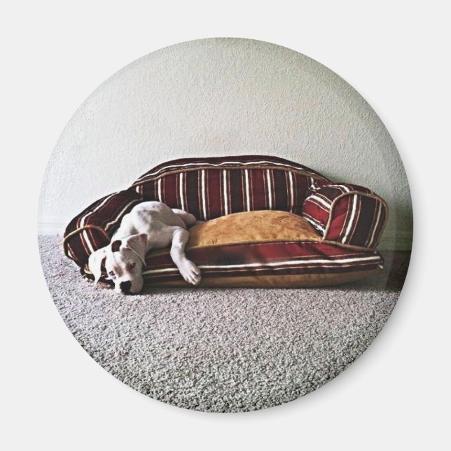 Boxer Doggie Magnet (Front)