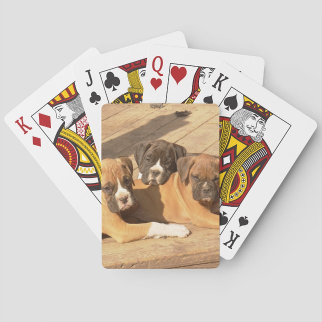 Boxer dogs playing cards (Back)