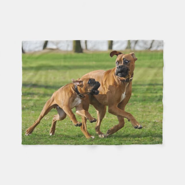 Boxer dogs run a funny race fleece blanket (Front (Horizontal))