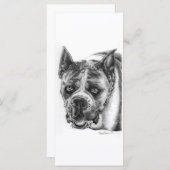 Boxer Drawing (Front/Back)