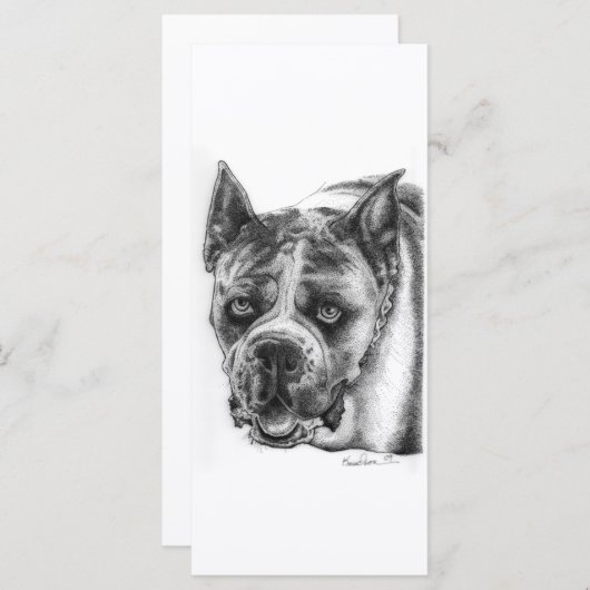 Boxer Drawing (Front/Back)