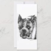 Boxer Drawing (Front)