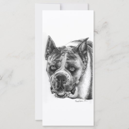 Boxer Drawing (Front)