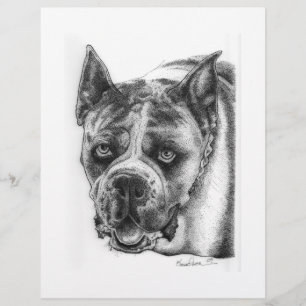 Boxer Drawing Flyer