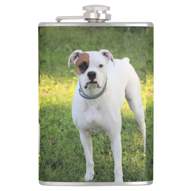 Boxer   flask (Front)