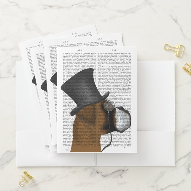 Boxer, Formal Hound and Hat Pocket Folder (In Situ)