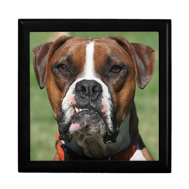 Boxer Gift Box - Jewelry Box (Front)