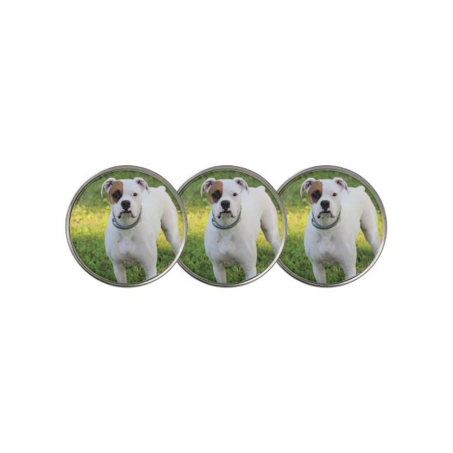 Boxer Golf Ball Marker (3 Up)