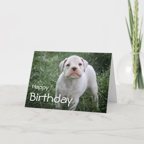 Boxer Happy Birthday Card