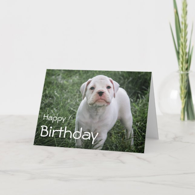 Boxer Happy Birthday Card (Front)