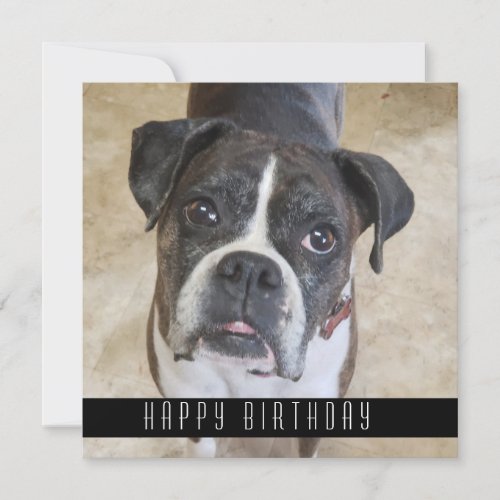 Boxer Happy Birthday From Dog Birthday Card