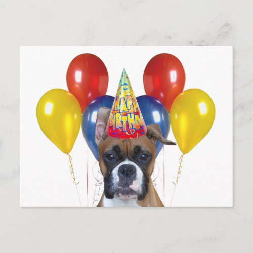 Boxer happy birthday Postcard