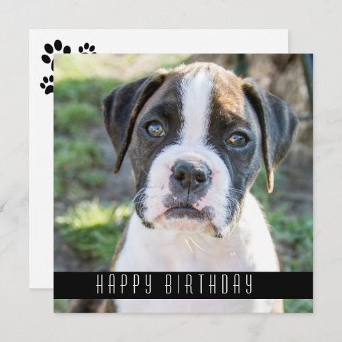 Boxer Happy Birthday Wishes Dog Birthday Card