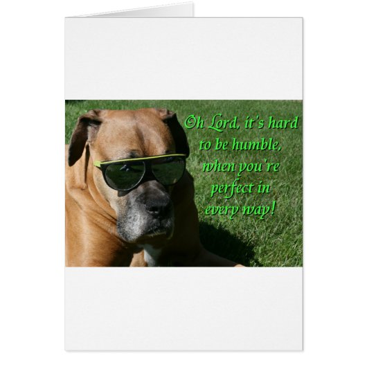 Boxer:  Hard to be Humble Cards (Front)
