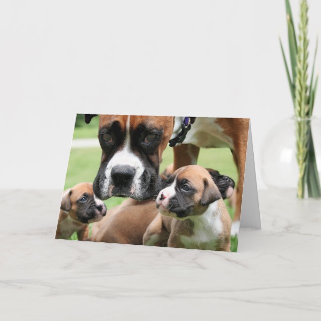 Boxer - Helicopter Mom Card (Front)