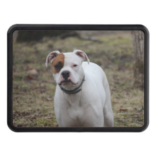 Boxer      hitch cover