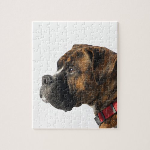 boxer jigsaw puzzle