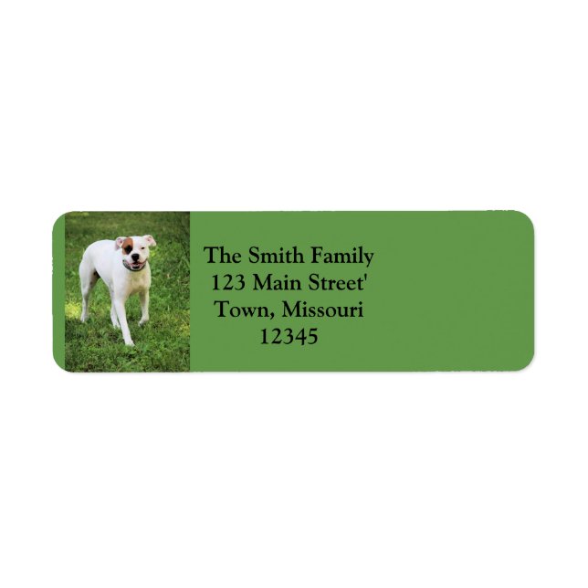 Boxer Label (Front)