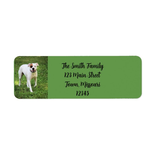 Boxer Label (Front)