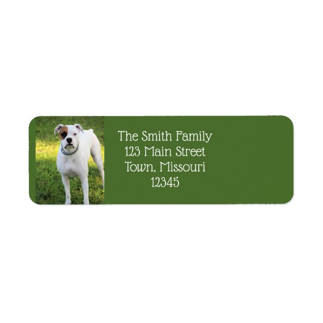 Boxer Label (Front)