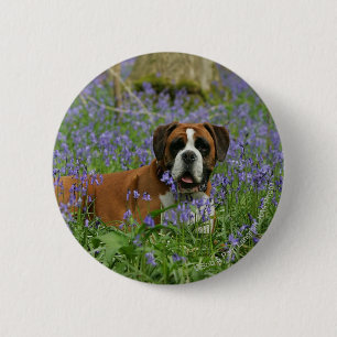 Boxer Laying in Bluebells Button