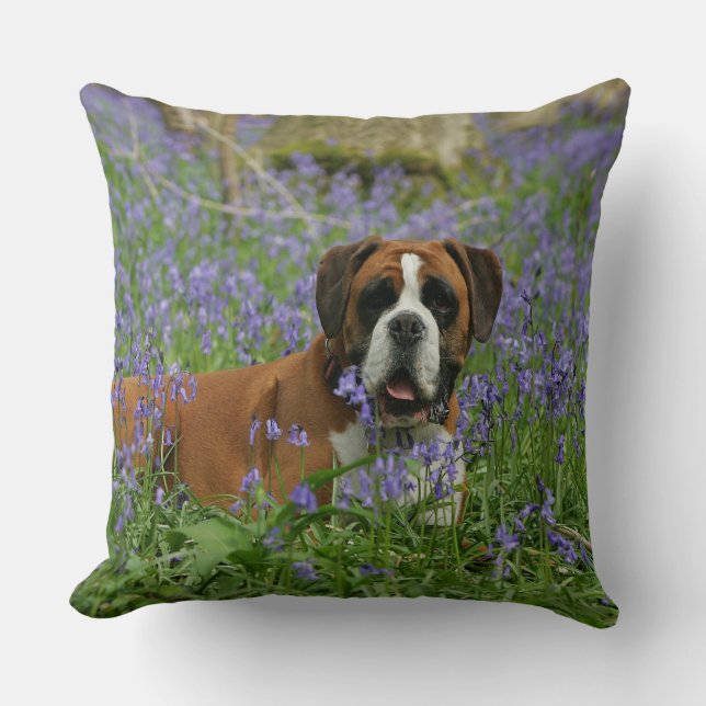 Boxer Laying in Bluebells Throw Pillow (Front)