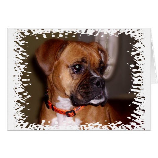 Boxer Love Cards (Front Horizontal)