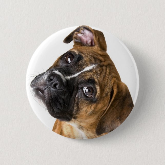 Boxer Love Pinback Button (Front)