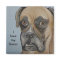 Boxer