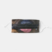 Boxer mask (Front, Folded)