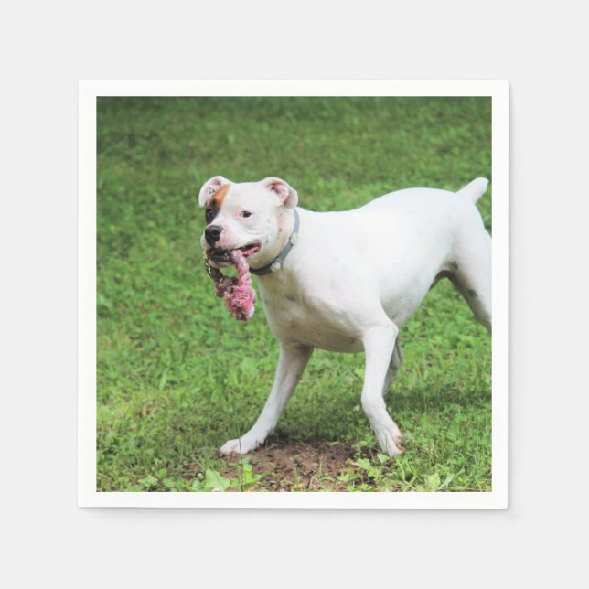 Boxer Napkins (Front)