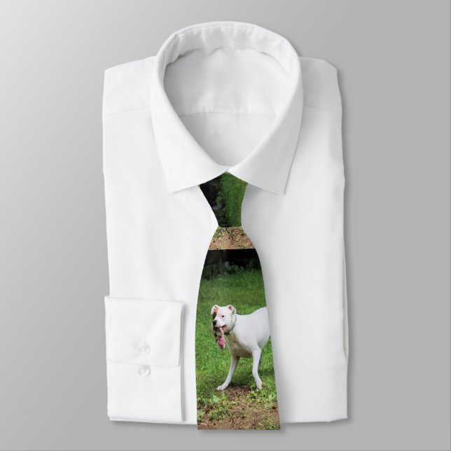 Boxer Neck Tie (Tied)