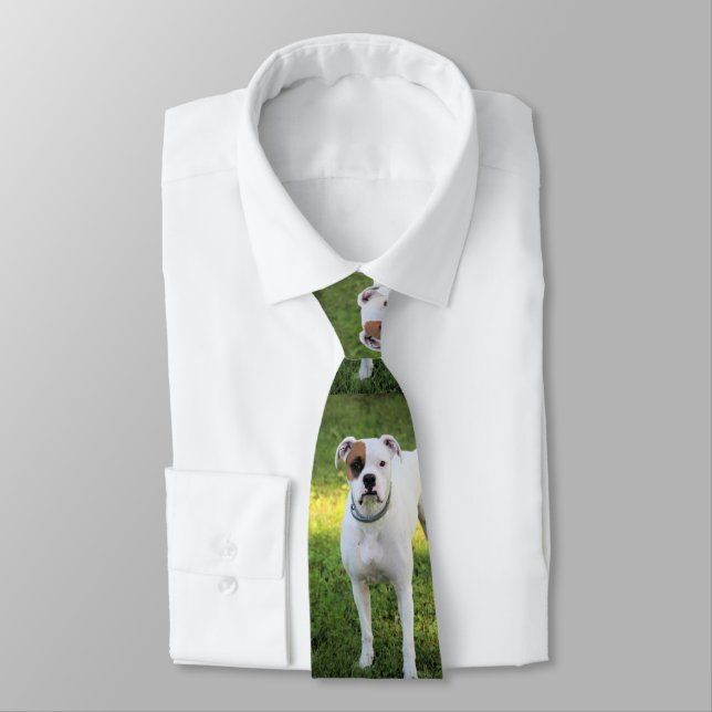 Boxer Neck Tie (Tied)
