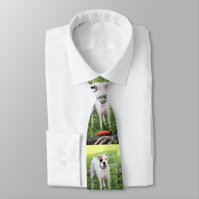 Boxer Neck Tie (Tied)