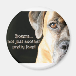 Boxer:  Not Just Another Pretty Face Magnet
