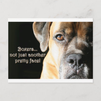 Boxer: Not Just Another Pretty Face Postcard