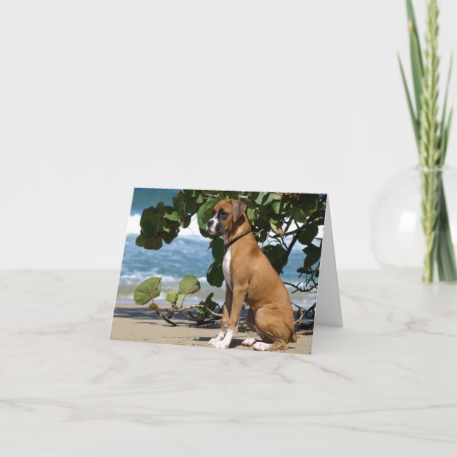 Boxer Note Card (Front)